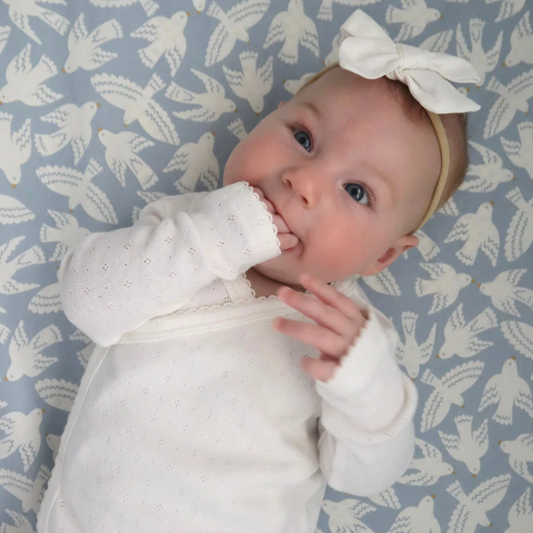 Coconut Rose Pointelle Bodysuit - Kendi