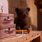 Pull Along Raoul - Egmont Toys