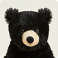 Black Bear - Warmies