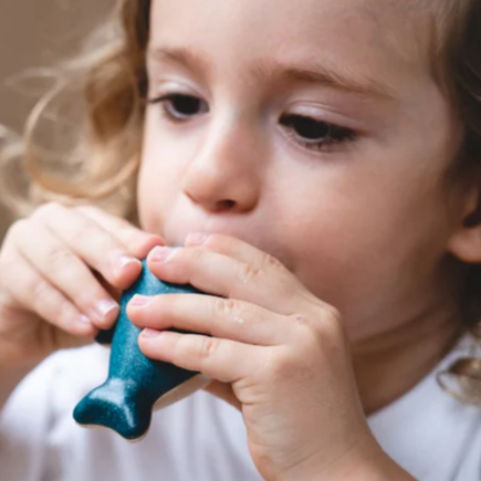 Whale Whistle - Plan Toys
