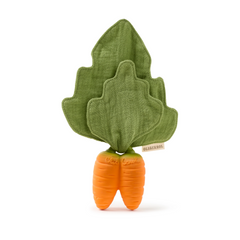 Cathy the Carrot Mini DouDou Teether - Oli & Carol