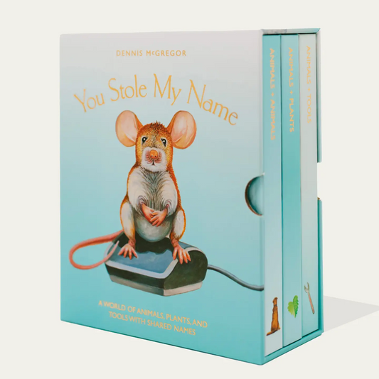 You Stole My Name Box Set - Dennis McGregor
