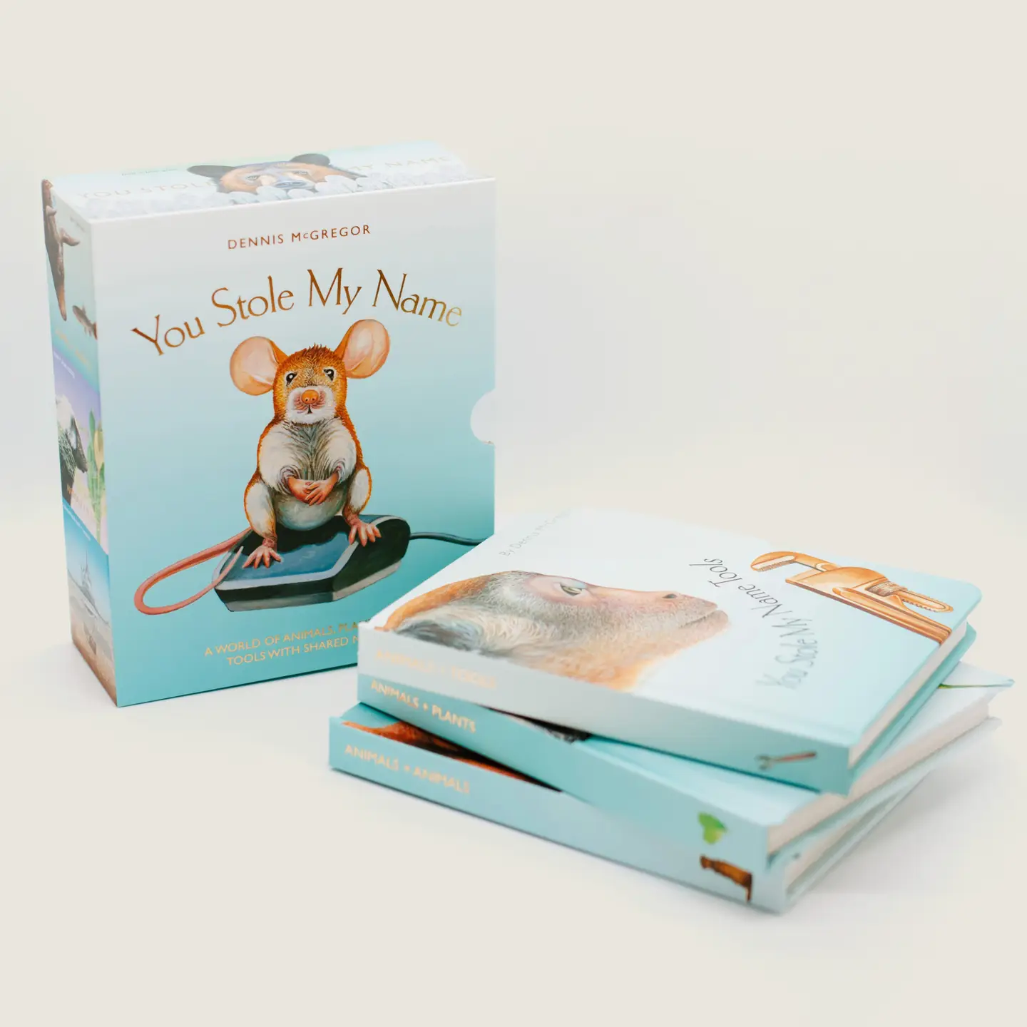 You Stole My Name Box Set - Dennis McGregor