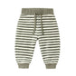 Spruce Stripe Velour Sweatpants - Quincy Mae