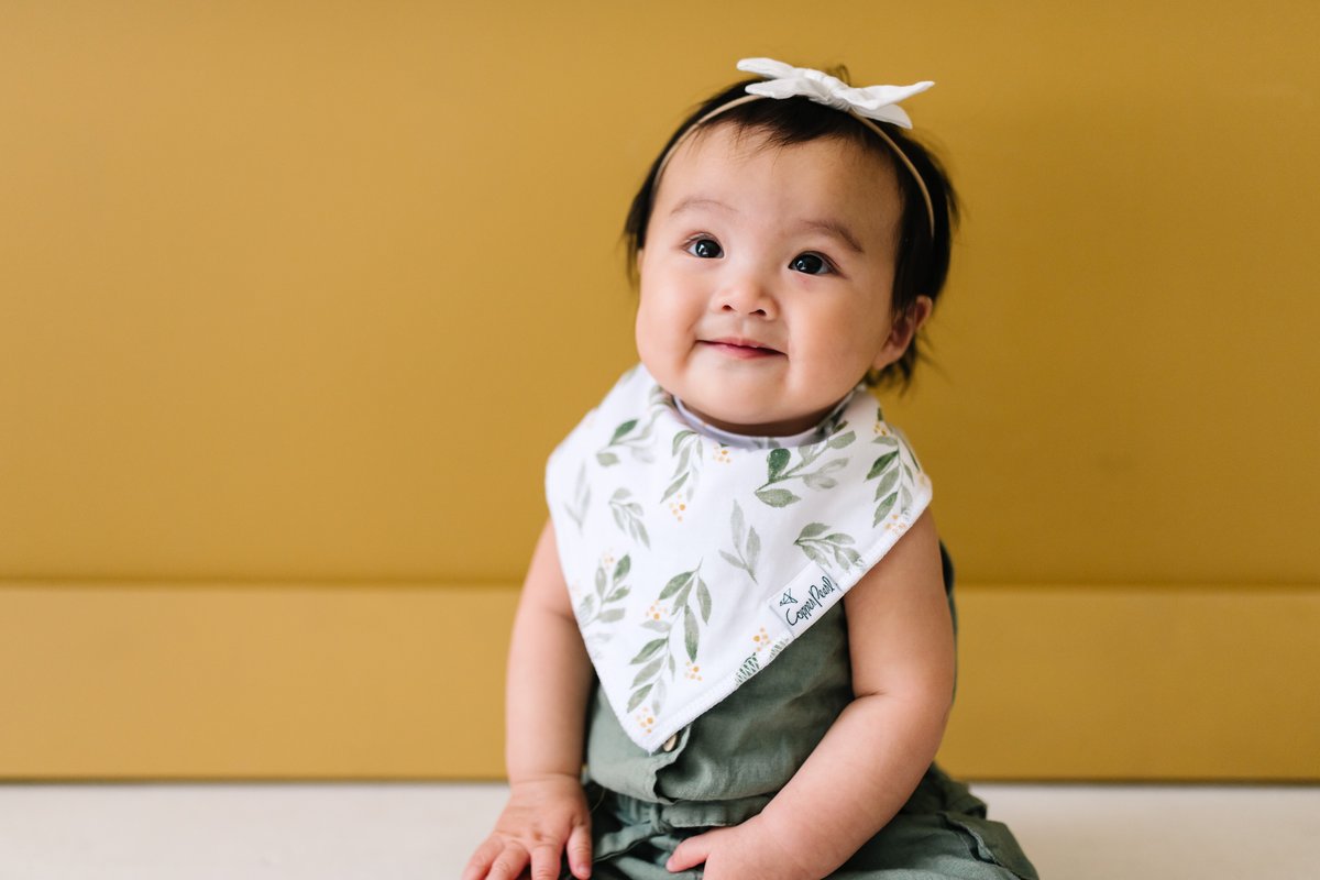 Hope Bandana Bib Set (4 pack) - Copper Pearl
