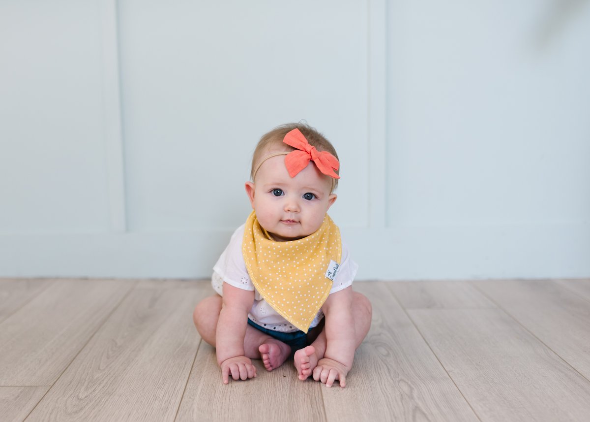 Hope Bandana Bib Set (4 pack) - Copper Pearl