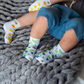 Citrus Collection- Squid Socks