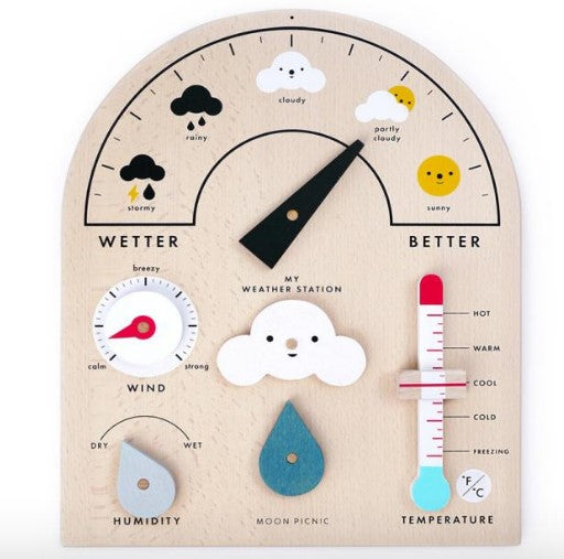 Weather Station - Moon Picnic