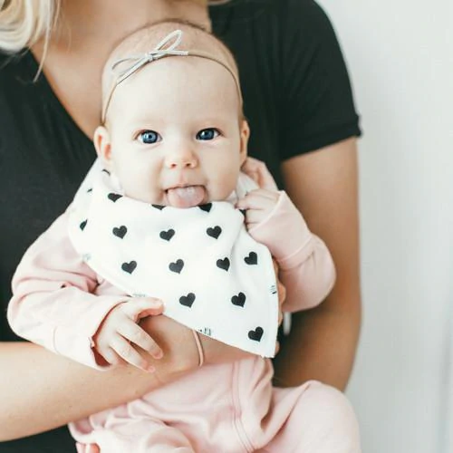 Blush Bandana Bibs - Copper Pearl