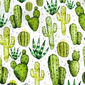 Desert Cactus Splash Mat - Bapron